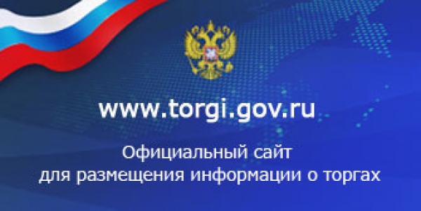 torgi.gov.ru.